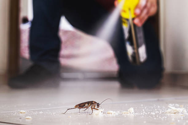 Best Residential Pest Control  in Quartzsite, AZ